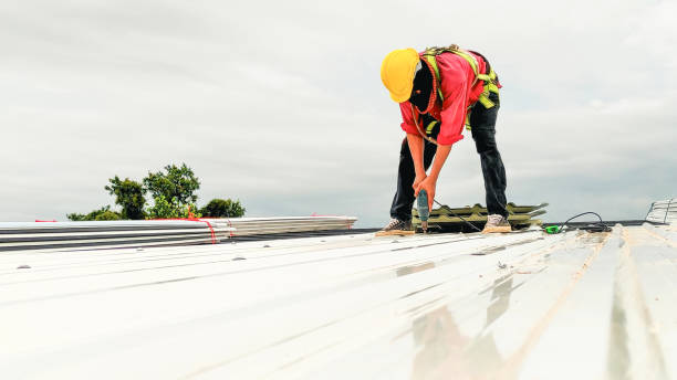 Best Steel Roofing  in Elmira Heights, NY